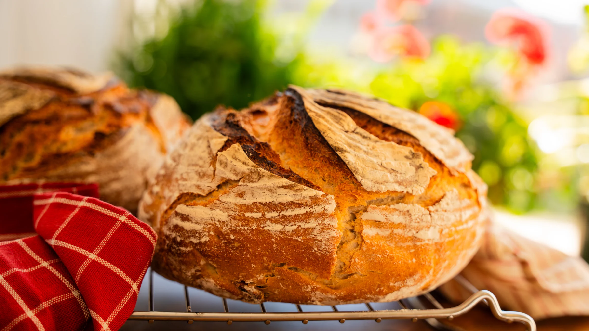 Pecan sourdough bread.